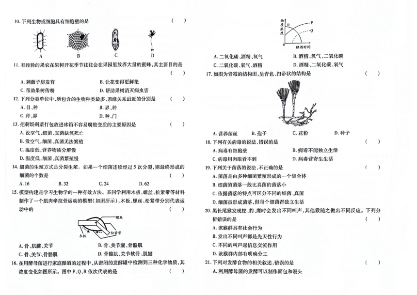 吉林省蛟河市2023-2024学年第一学期八年级生物期末试卷（图片版，含答案）