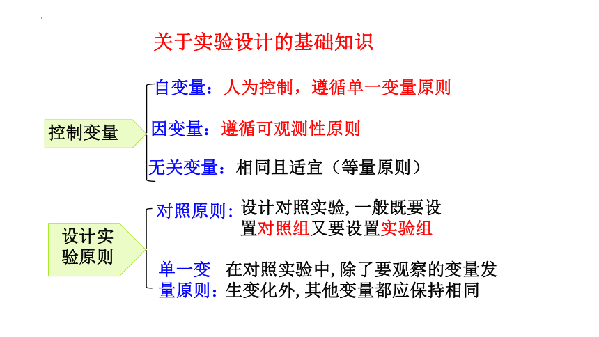 2.3细胞核的结构和功能课件(共28张PPT) 人教版必修1