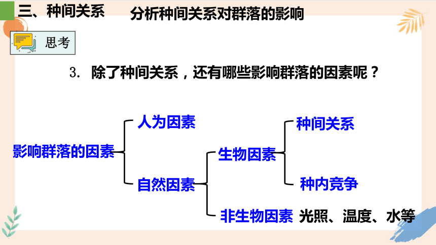 2.1群落的结构课件（共46张PPT）人教版选择性必修2