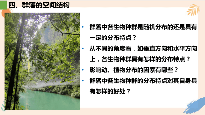 2.1群落的结构课件（共46张PPT）人教版选择性必修2