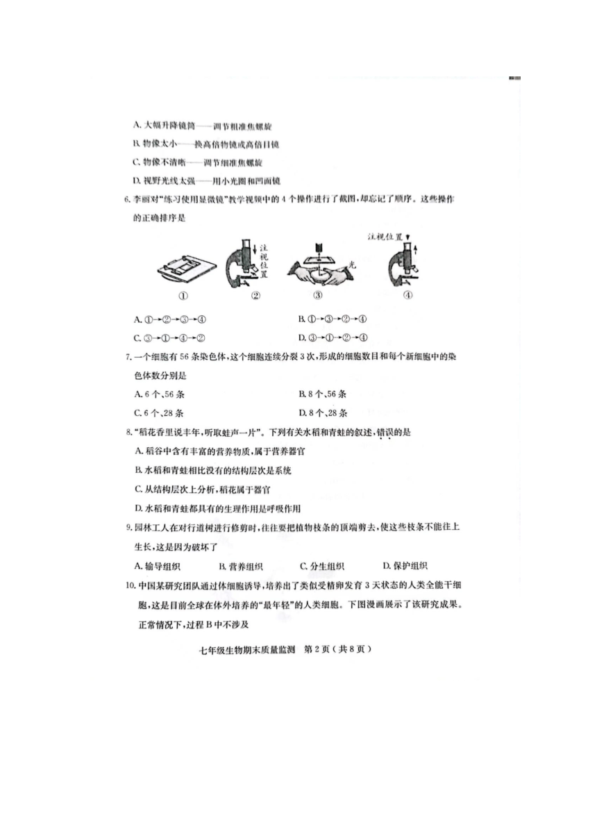 广东省茂名市电白区2023-2024学年七年级上学期期末质量监测生物试卷(图片版含答案）