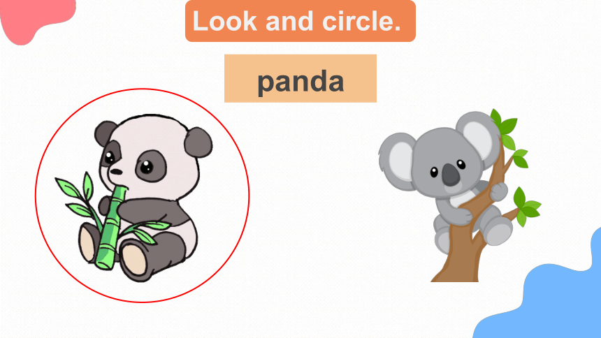 Module 2 Unit 3 What animal is it Lesson 2 课件(共45张PPT)
