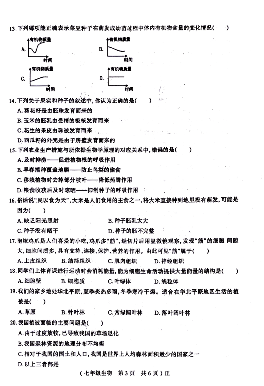 河南省驻马店市正阳县2023-2024学年七年级上学期期末生物试题（PDF版无答案）