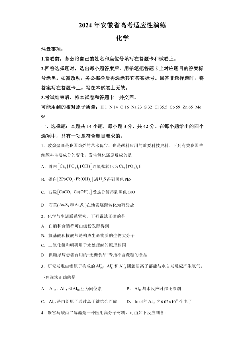 2024年1月安徽普通高等学校招生考试适应性测试化学试题（解析）