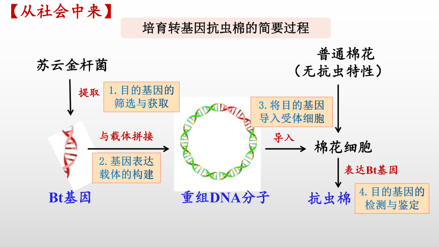3.2基因工程的基本操作程序（第1课时）课件(共29张PPT)-人教版2019选择性必修3