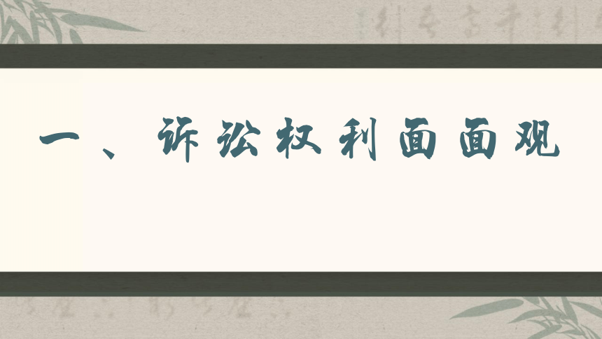 10.1正确行使诉讼权利课件（统编版选择性必修2）(共33张PPT)