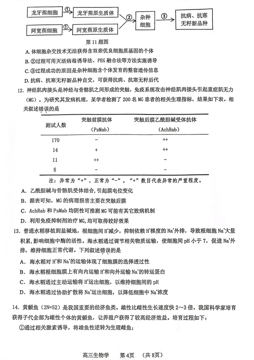 广东省东莞市2023-2024学年高三上学期期末考试生物试题（PDF无答案）
