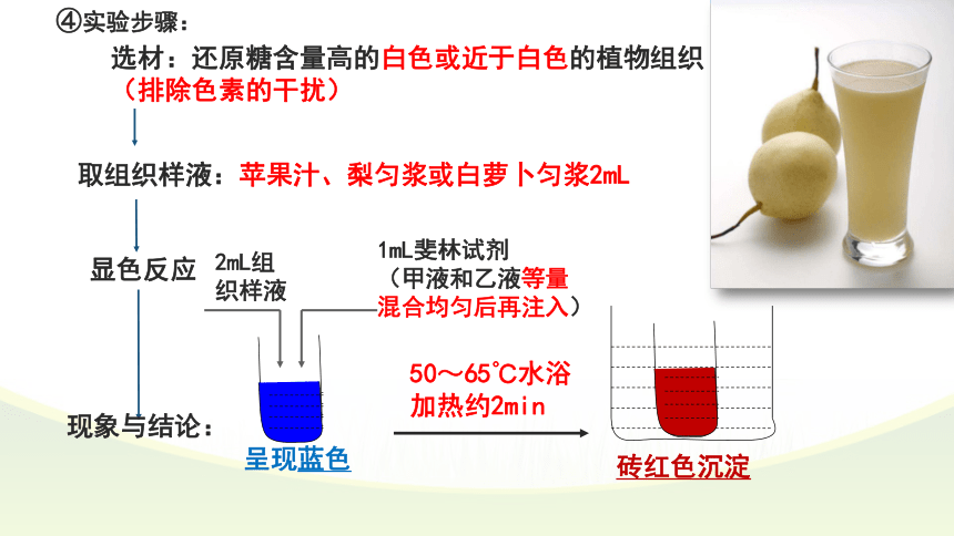 2.1细胞中的元素和化合物课件（第2课时）课件(共20张PPT)-人教版（2019）必修1