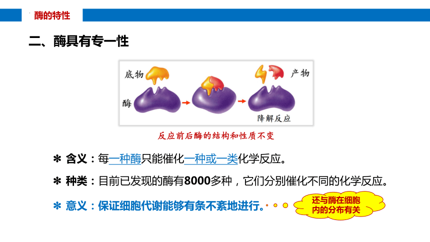 5.1降低化学反应活化能的酶（第2课时）(共31张PPT1份视频)课件 人教版必修1