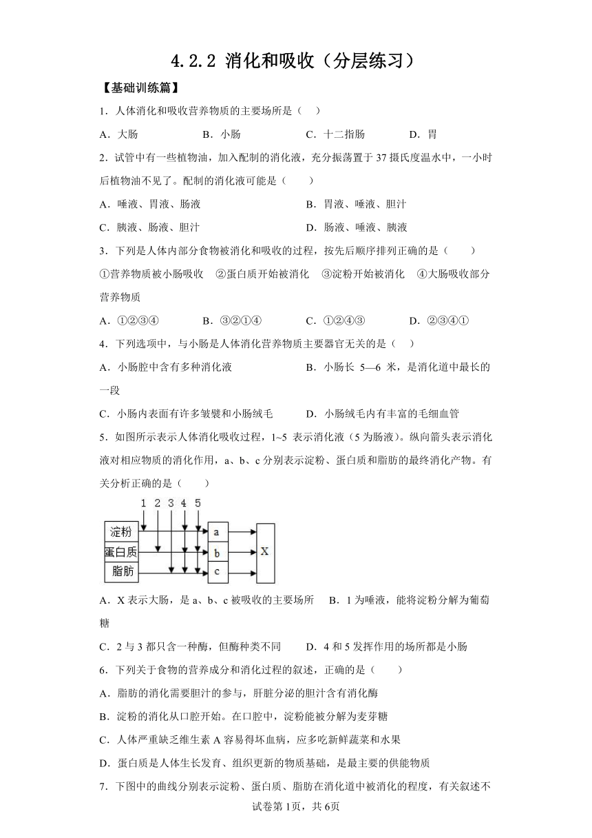 4.2.2消化和吸收 分层作业 七年级生物下册人教版（含解析）