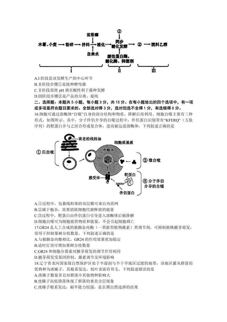 2024届辽宁省沈阳市高三上学期1月教学质量监测（一）（一模）生物学试题（含答案）