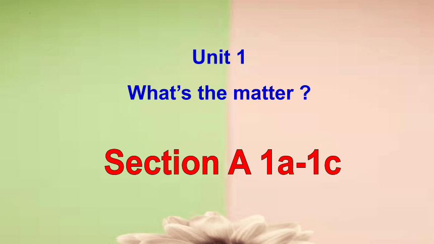 Unit 1 Where did you go on vacation Section A 1a-1c课件(共24张PPT，无音频)人教新目标八年级上册