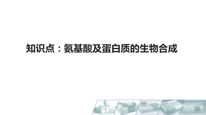 8.11氨基酸及蛋白质的生物合成 课件(共12张PPT)-《食品生物化学》同步教学（大连理工大学出版社）