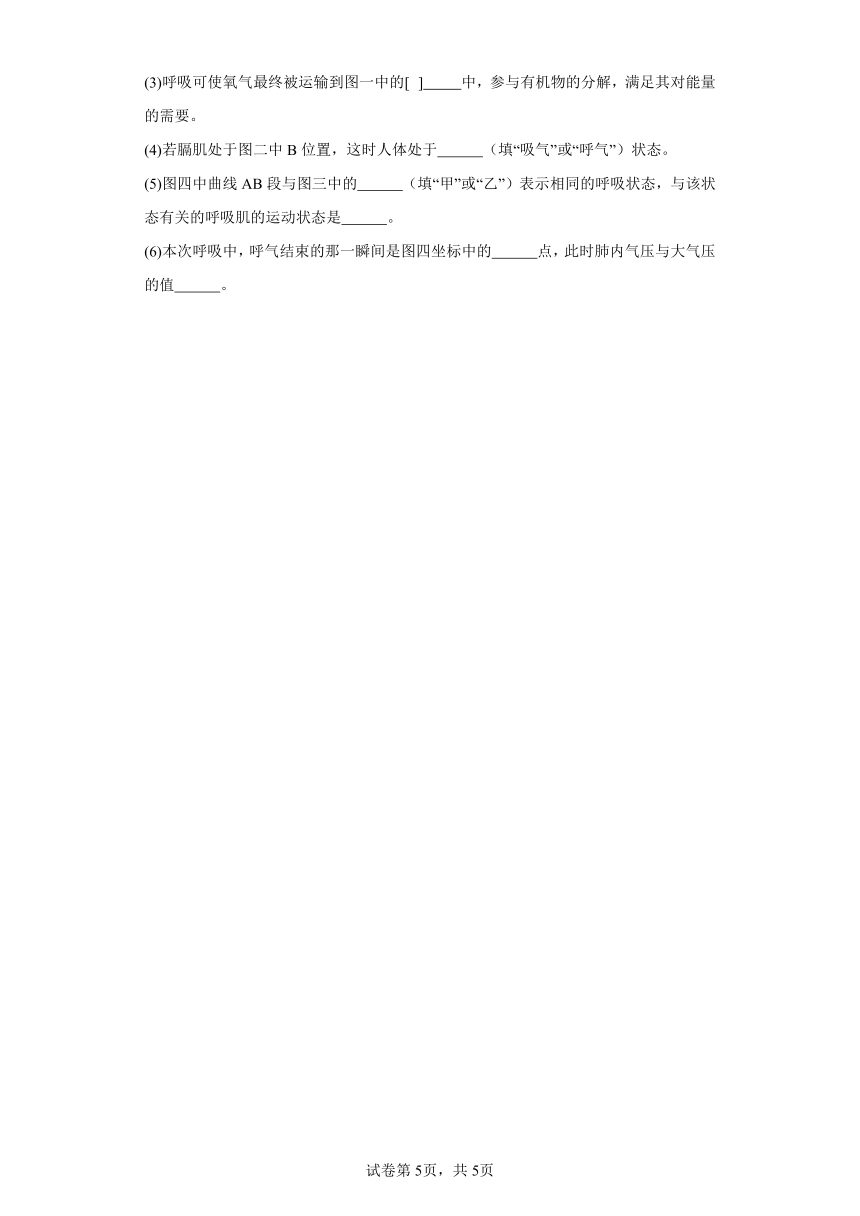 4.3.2发生在肺内的气体交换 分层作业（含解析） 七年级生物下册人教版