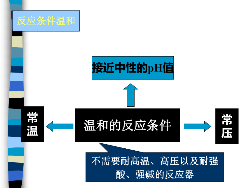 4.1.2 酶的基本特征 课件(共40张PPT)-《食品生物化学》同步教学（大连理工大学出版社）