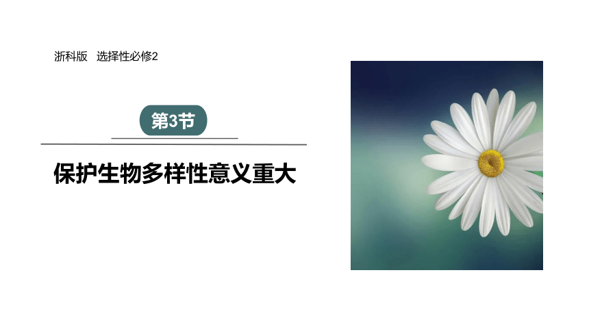 4.3 保护生物多样性意义重大 课件(共24张PPT) 2023-2024学年高二生物浙科版（2019）选择性必修2