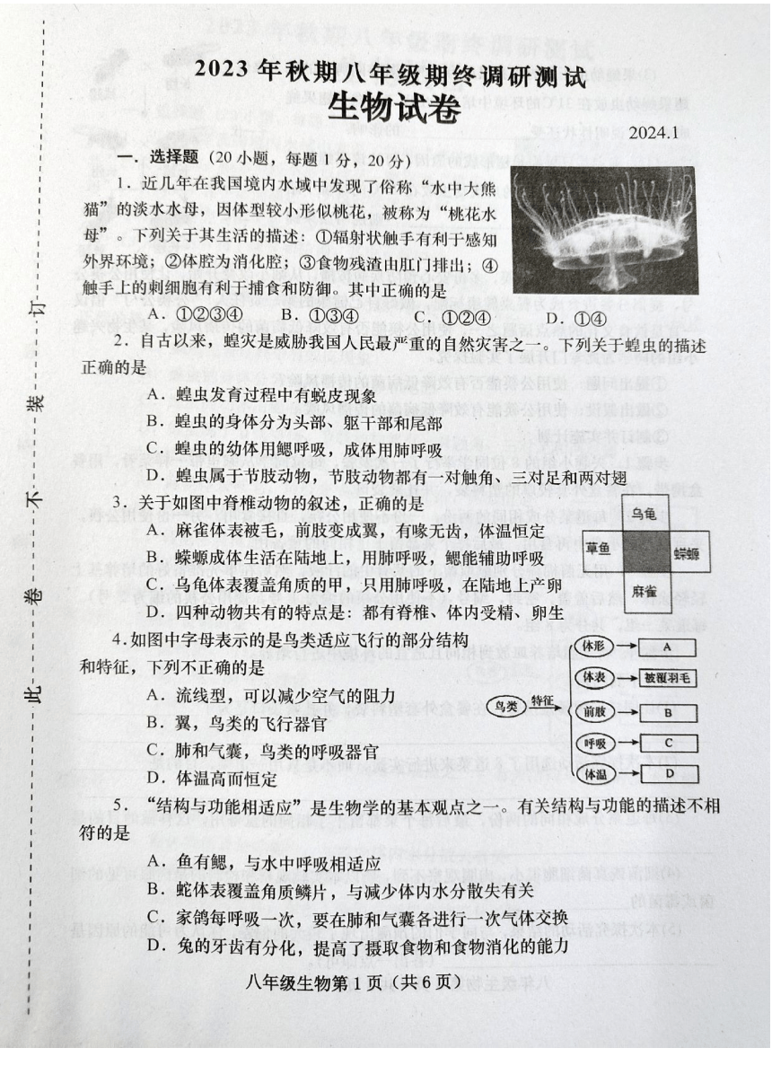 河南省南阳市镇平县2023-2024学年八年级上学期期末考试生物试卷（图片版 无答案）