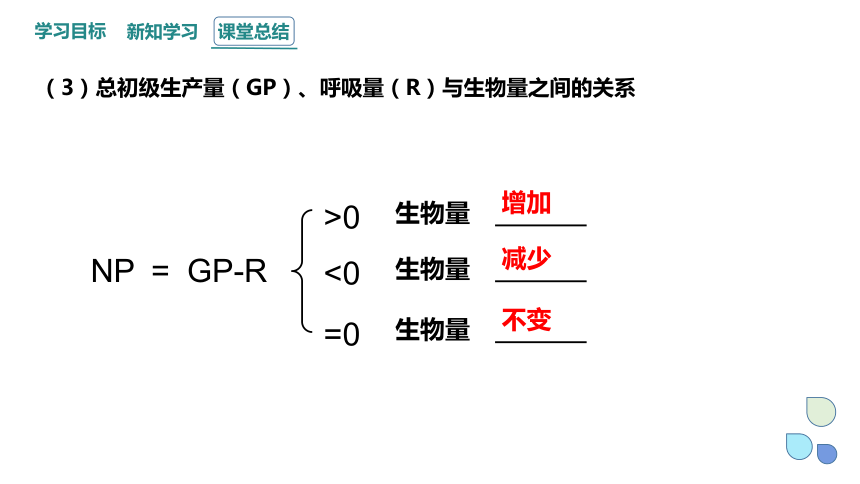 3.3 生态系统中的能量单向递减流动 课件(共30张PPT) 2023-2024学年高二生物浙科版（2019）选择性必修2