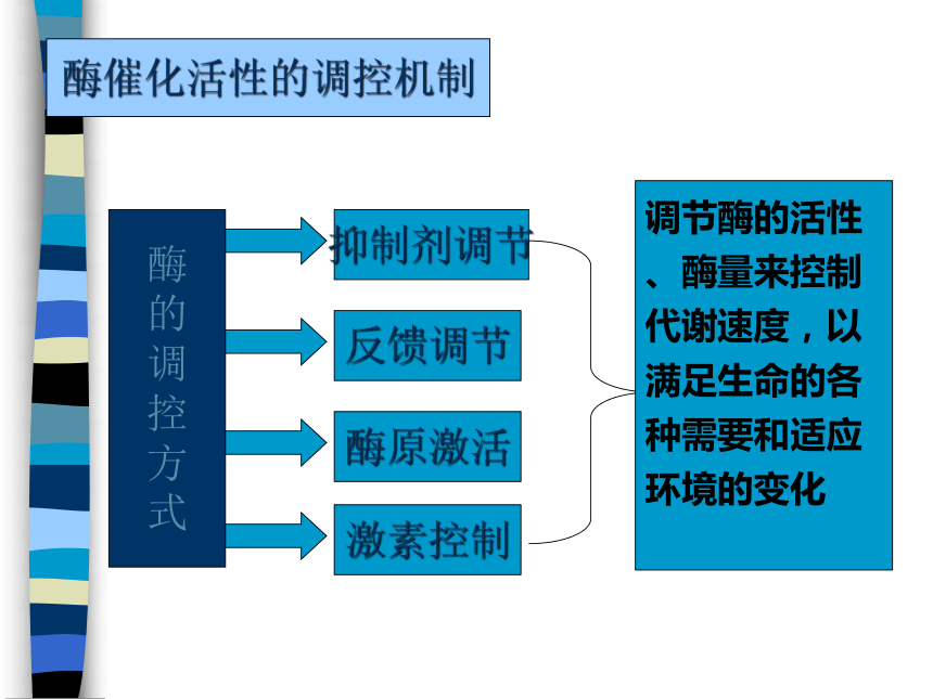 4.1.2 酶的基本特征 课件(共40张PPT)-《食品生物化学》同步教学（大连理工大学出版社）