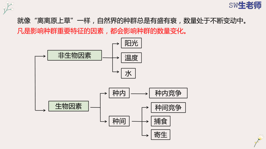 1.3  影响种群数量变化的因素(共27张PPT)