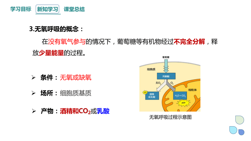 5.3.2 细胞呼吸的原理和应用 课件(共20张PPT) 2023-2024学年高一生物人教版（2019）必修1