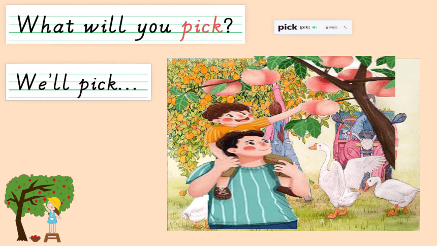 Module 4  Unit 1 We'll pick fruit. 课件(共23张PPT)