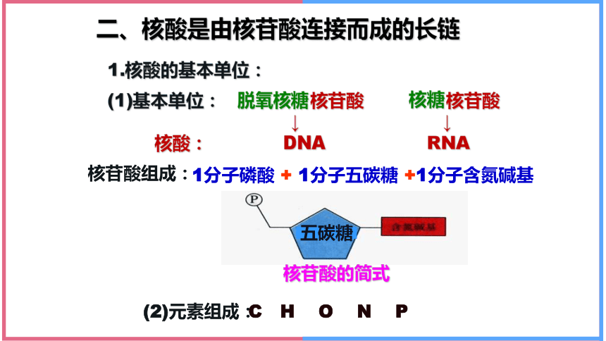 2.5核酸是遗传信息的携带者课件(共41张PPT) 人教版必修一