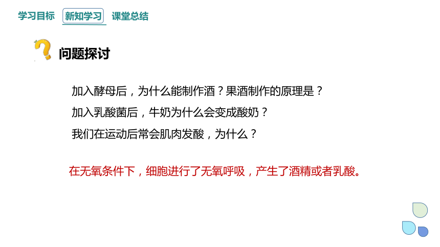 5.3.2 细胞呼吸的原理和应用 课件(共20张PPT) 2023-2024学年高一生物人教版（2019）必修1