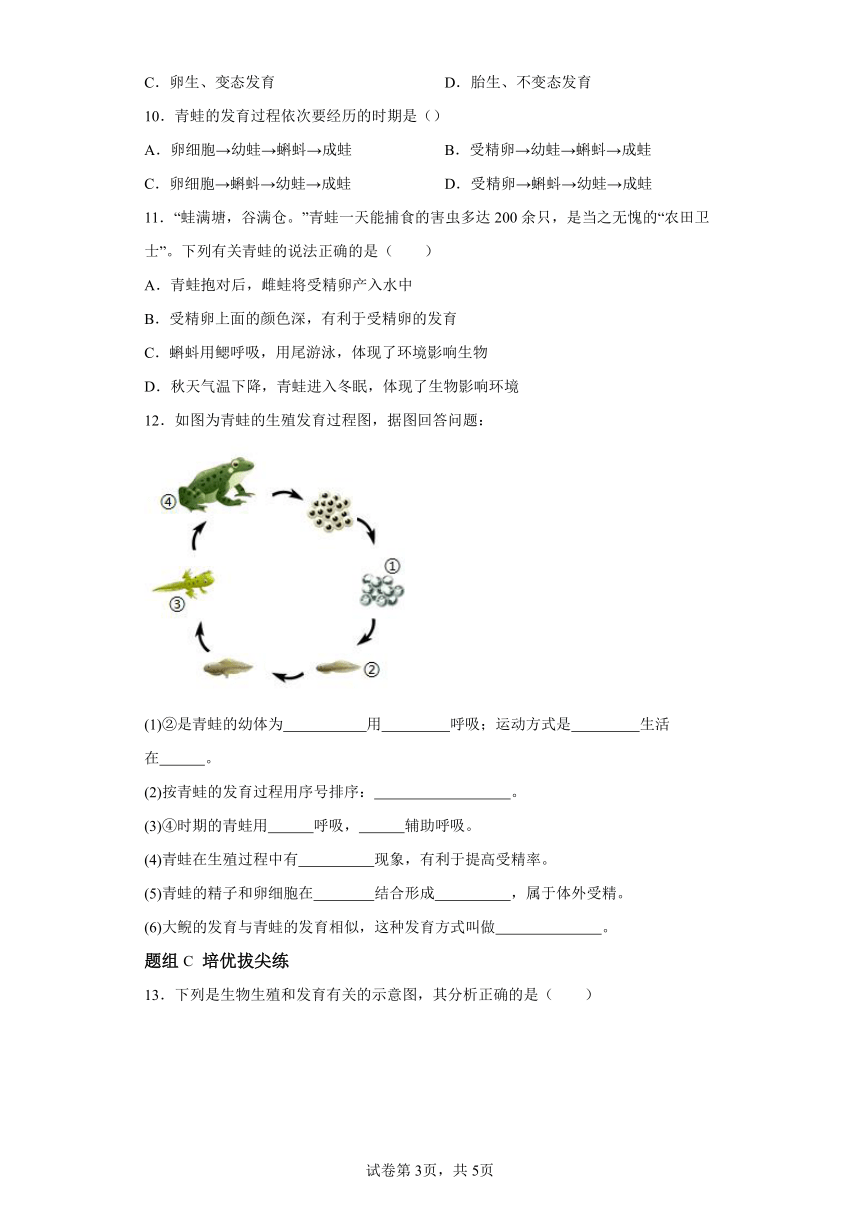 7.1.3两栖动物的生殖和发育 知识精讲与分层训练（含解析） 人教版生物八年级下册