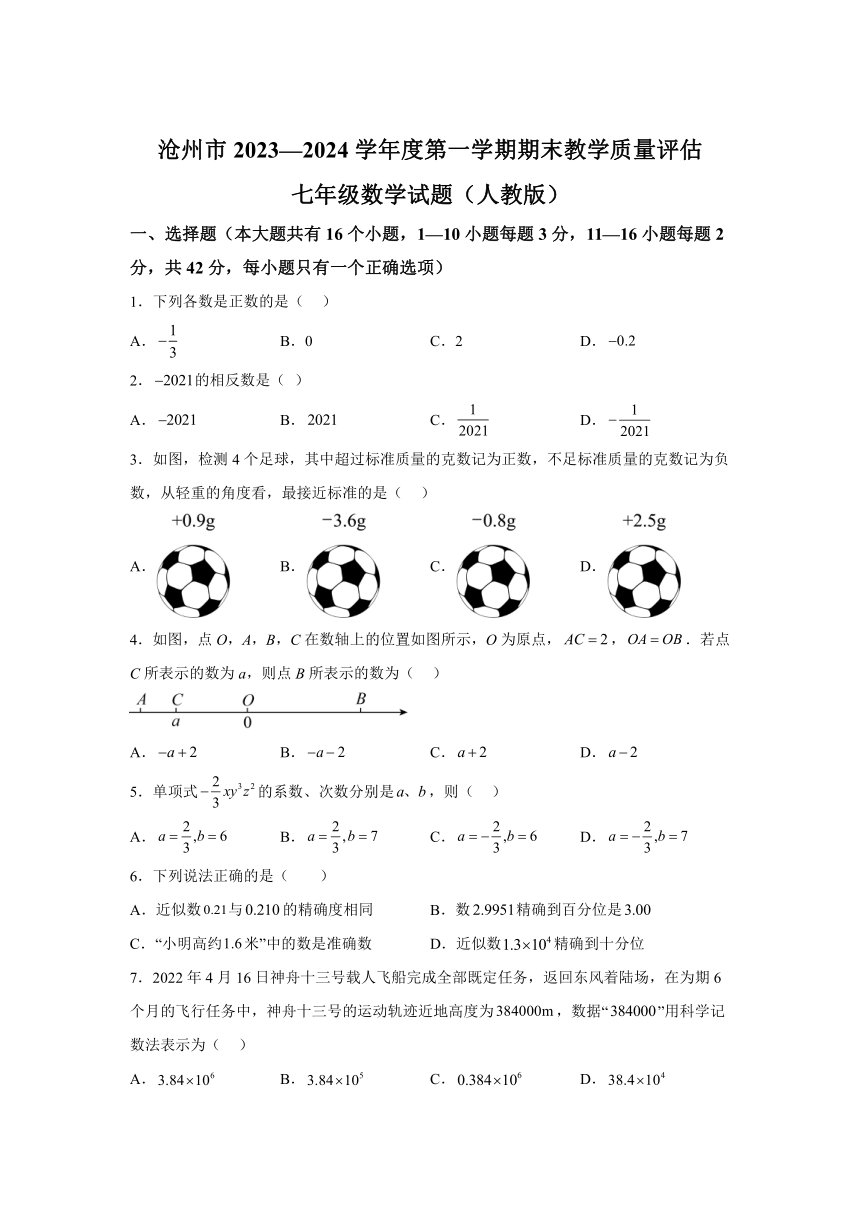 河北省沧州市2023-2024学年七年级上学期期末数学试题(含解析)