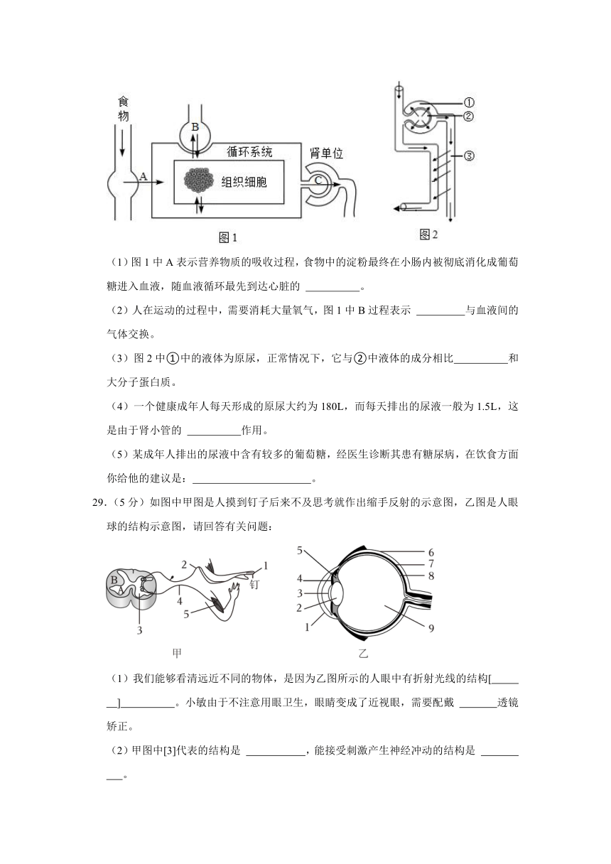 甘肃省武威市天祝藏族自治县2023-2024学年九年级上学期期末生物试卷（含解析）