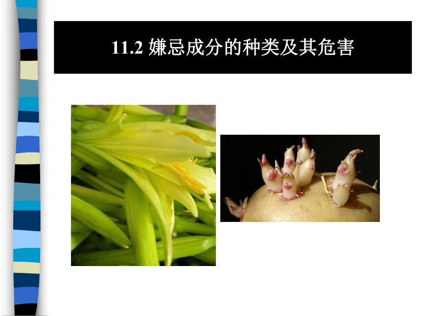 11.2 嫌忌成分的种类及其危害 课件(共76张PPT)-《食品生物化学》同步教学（大连理工大学出版社）