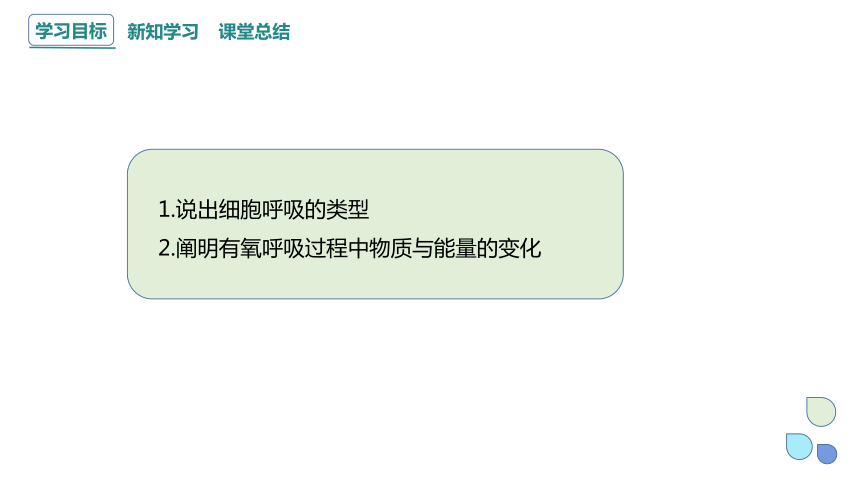 5.3.1 细胞呼吸的原理和应用 课件(共22张PPT1份视频) 2023-2024学年高一生物人教版（2019）必修1