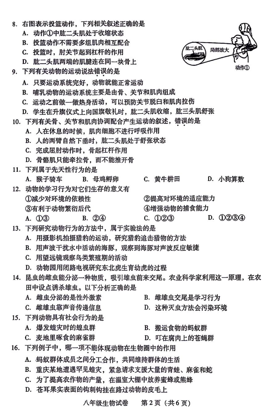 湖南省衡阳市城区2023-2024学年八年级上学期期末考试生物试题（PDF版含答案）