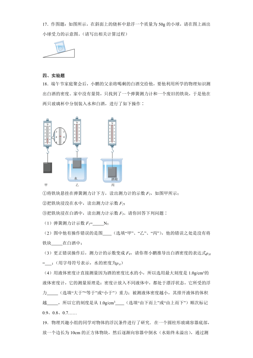 10.5物体的浮与沉（同步练习）（含解析）2023-2024学年八年级物理下册同步课堂（苏科版）