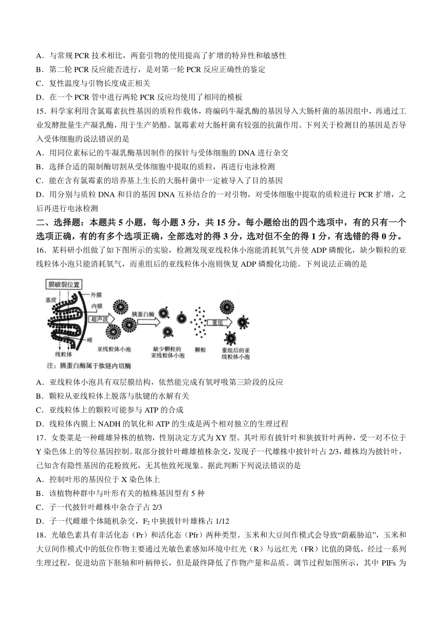 山东省济南市2023-2024学年高三上学期期末学习质量检测生物学试题（含答案）