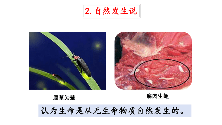 6.3.1生命的起源课件(共16张PPT)2023-2024学年冀少版生物八年级下册