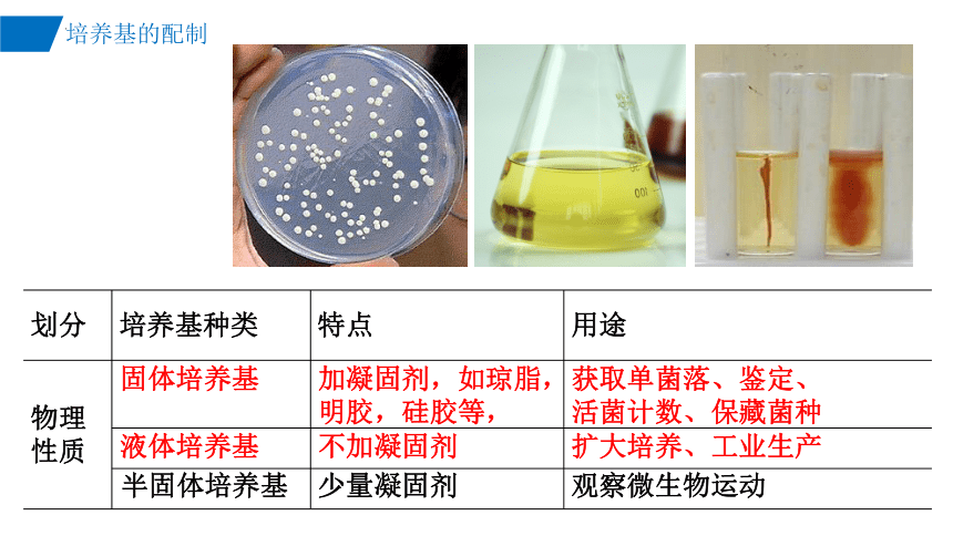 生物人教版（2019）选择性必修3 1.2微生物的培养技术（共45张ppt）