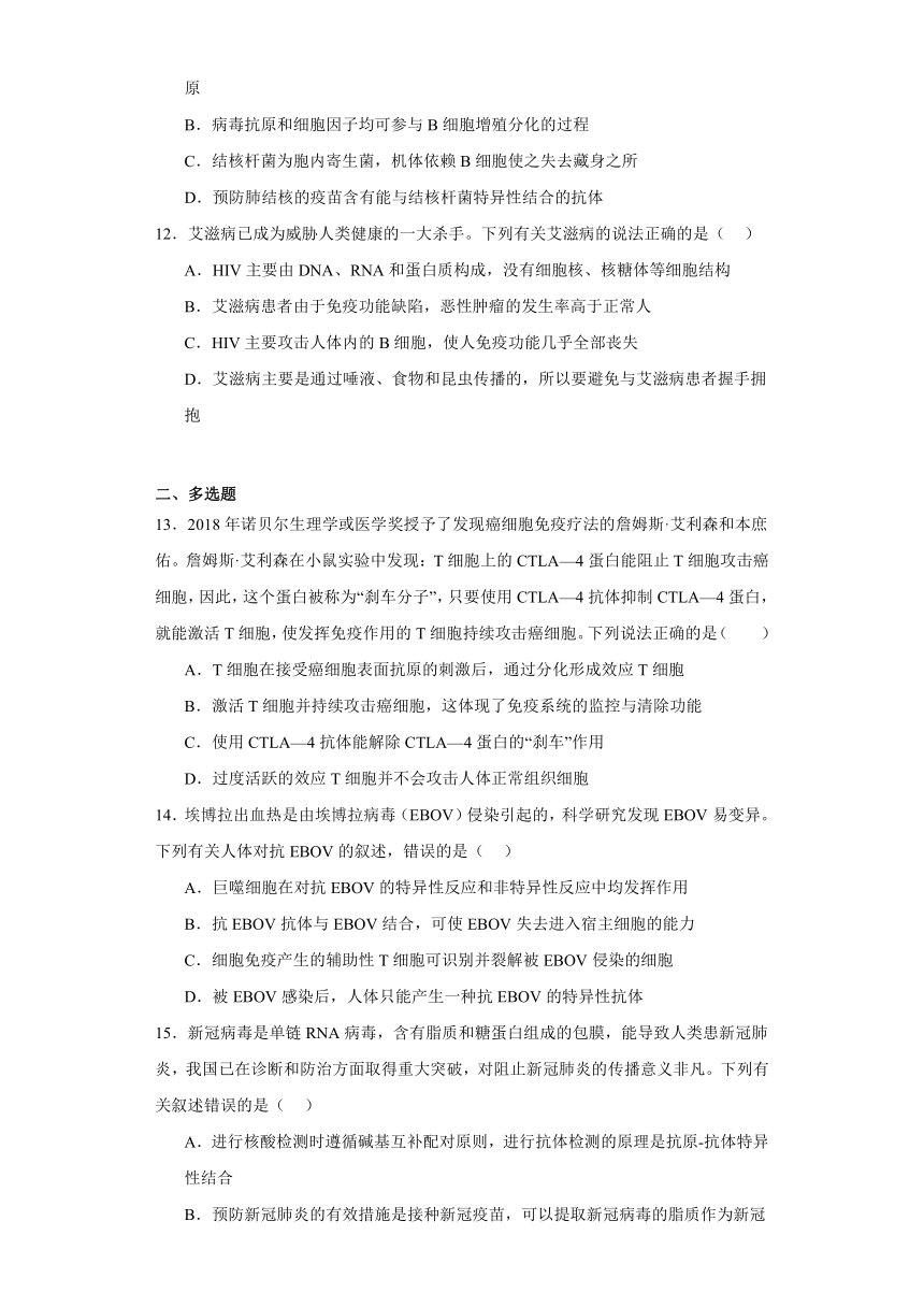 4.5免疫学的实际应用同步练习2023-2024学年高二上学期生物北师大版选择性必修1（解析版）