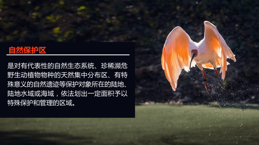 3.2.1 自然保护区与生态安全  课件 (共34张PPT) 2023-2024学年高二地理湘教版（2019）选择性必修3