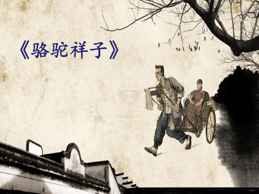 部编版语文七年级下册 第三单元名著导读《骆驼祥子》课件（共25张PPT）