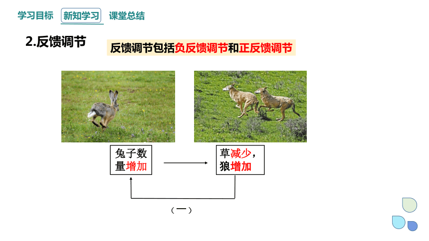 3.6 生态系统通过自我调节维持稳定 课件(共24张PPT) 2023-2024学年高二生物浙科版（2019）选择性必修2