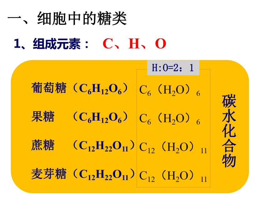 2.3细胞中的糖类和脂质课件(共53张PPT)-2023-2024学年高一上学期生物人教版（2019）必修1