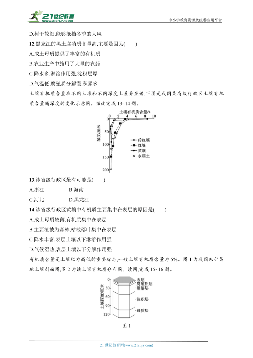 2024湘教版地理必修第一册练习题--第2节　土壤的形成（含解析）