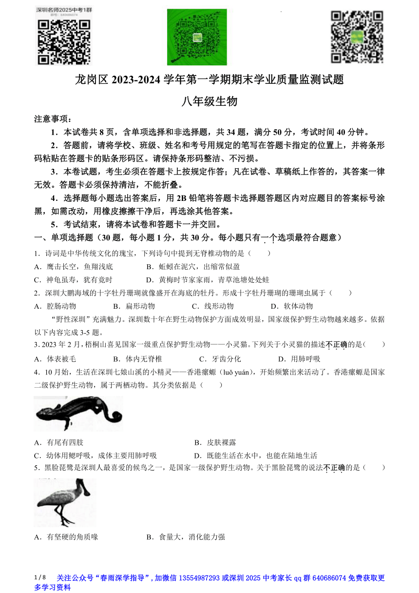 广东省深圳市龙岗区2023-2024学年八年级上学期期末生物试题(无答案)