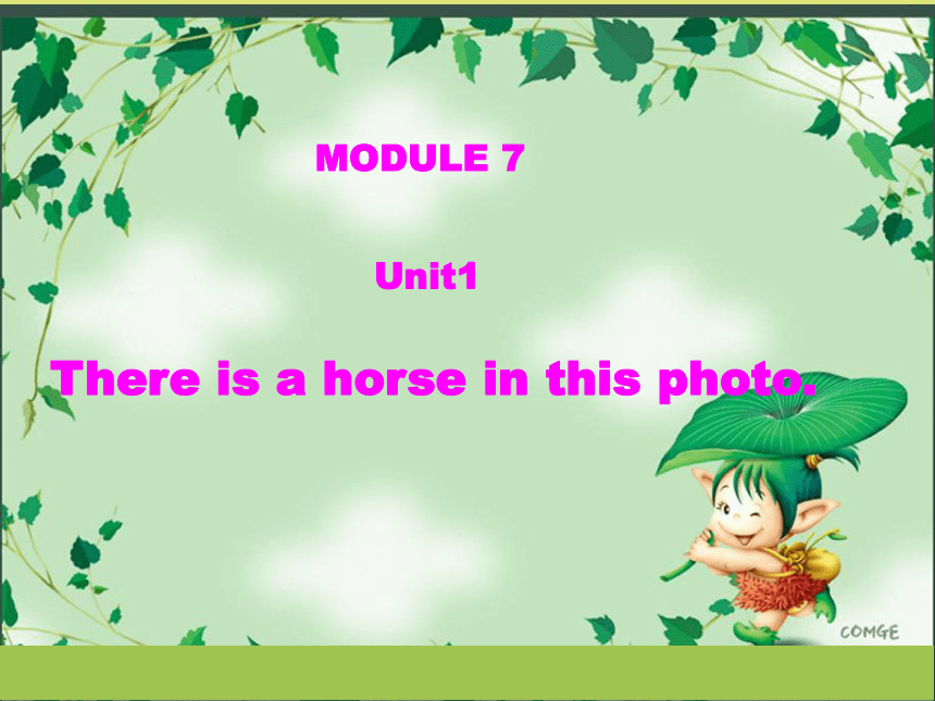 Module 7 Unit 1 There is a horse in this photo. 课件 （共28张PPT）