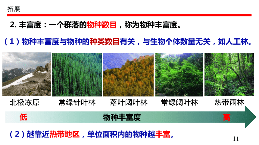 2.1群落的结构课件（共79张PPT）人教版选择性必修2