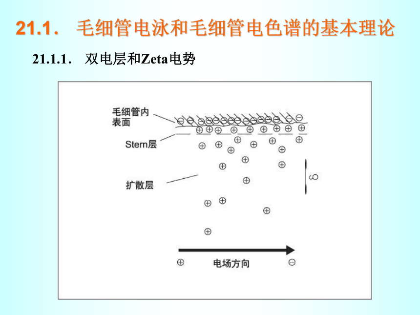 第21章 毛细管电泳和毛细管电色谱 课件(共38张PPT)- 《分析化学》同步教学（武汉大学版）