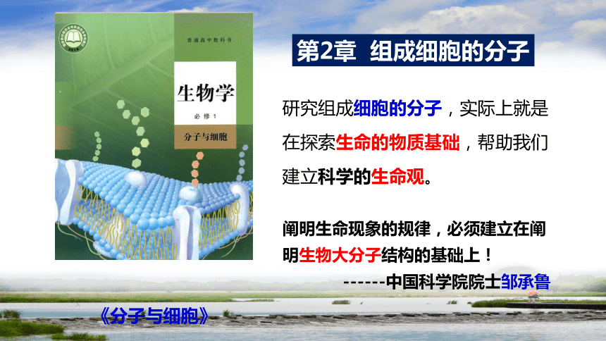 2.1细胞中的元素和化合物课件 (共53张PPT3份视频)人教版2019必修1