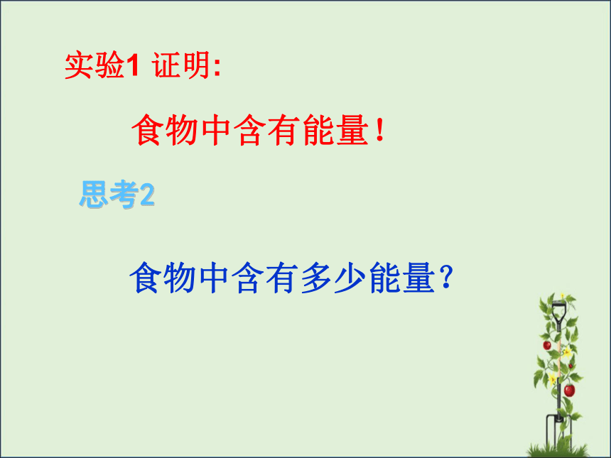 2.1 食物中的营养物质课件(共17张PPT)